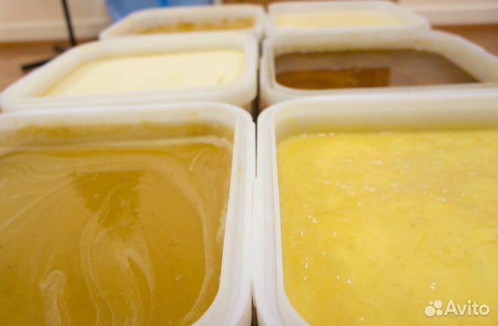 Мед натуральный алтайский опт