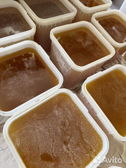 Мед свежий цветочный