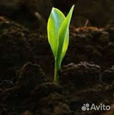 Земля Плодородная