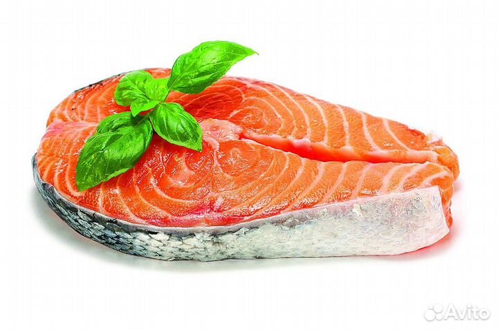 Бизнес на продаже рыбы и морепродуктов