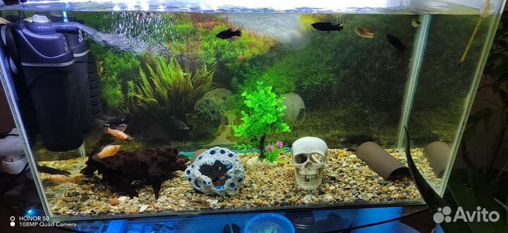 Продам аквариум с тумбой