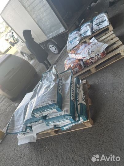 Корм для собак Monge и Gemon