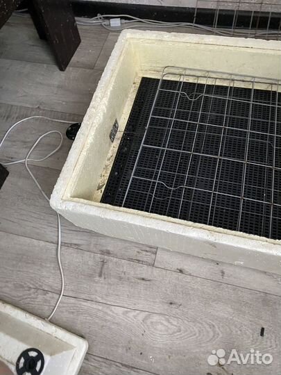 Инкубатор для яиц автоматический бу