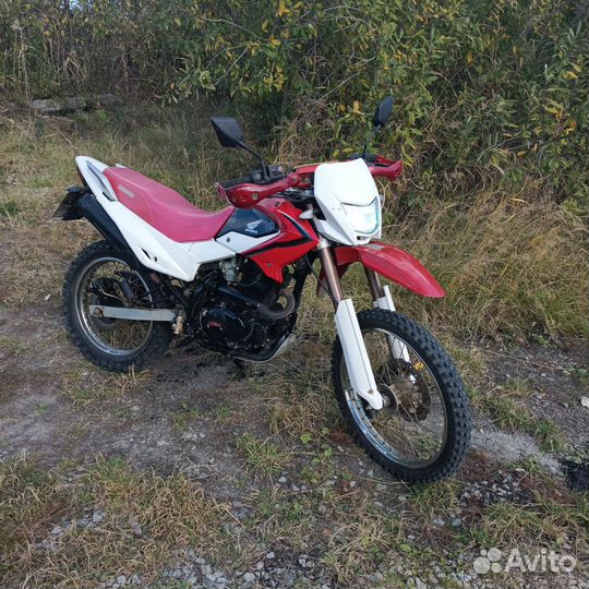 Irbis ttr 250