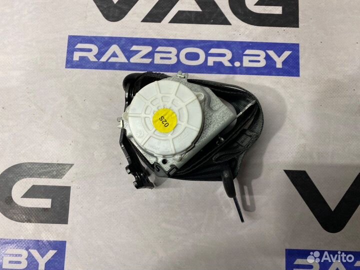 Volkswagen Passat B82015 3G9857806DVR142-343