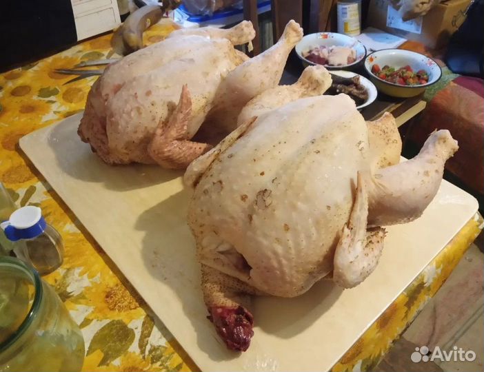 Куры бройлеры тушки мясо