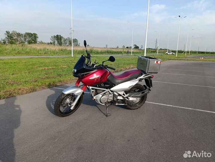Suzuki XF 650 Freewind