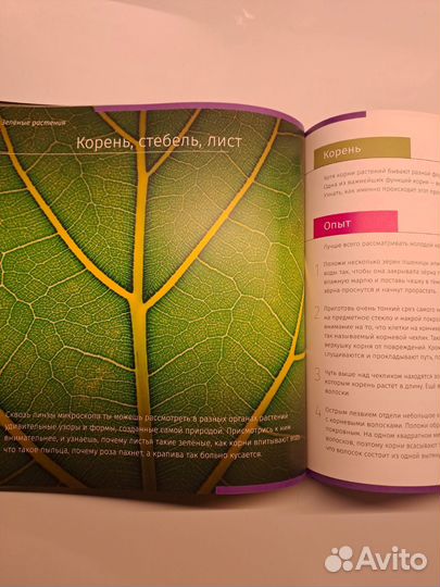 Книга о невидимом мире