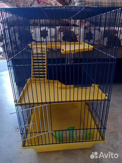 Крысиная клетка