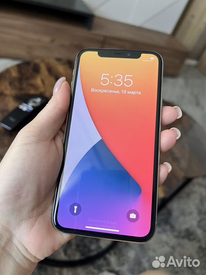 iPhone X, 256 ГБ