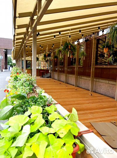 Ретро занавес