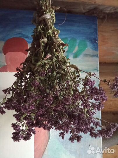 Душица, зверобой, тысячелистник