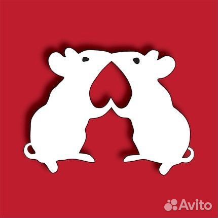 Ратолог выезд на дом 24/7