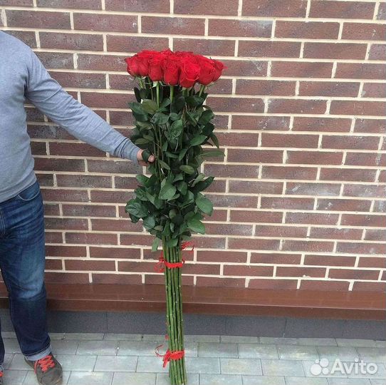 Высокие розы Гигантские розы Доставка цветов