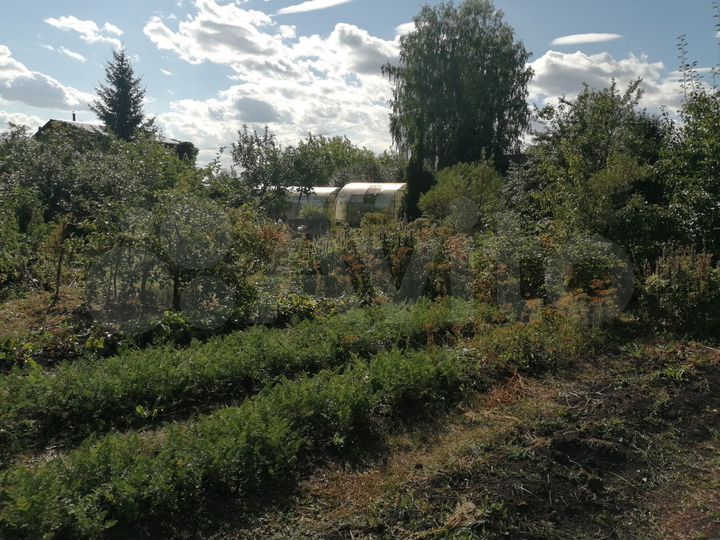 Участок 11,5 сот. (СНТ, ДНП)