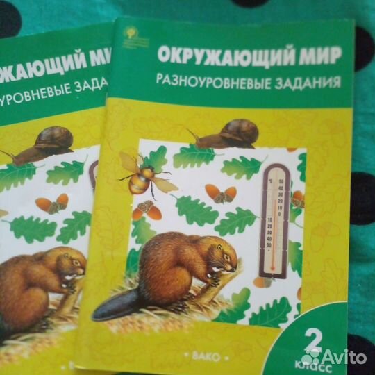 Рабочая тетрадь 2 класс