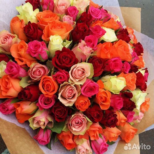 101 роза цветы букеты роза доставка 25 51 75