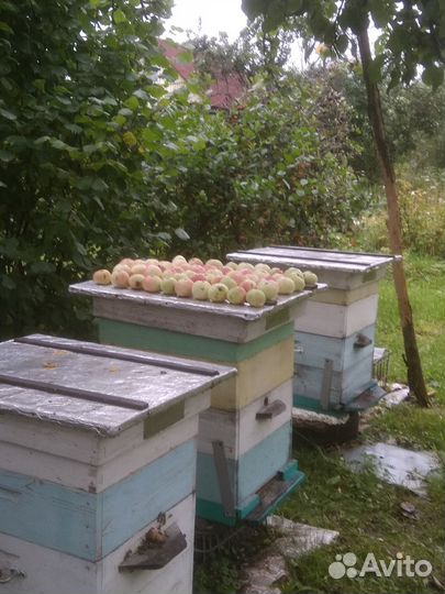 Для ульев пчел