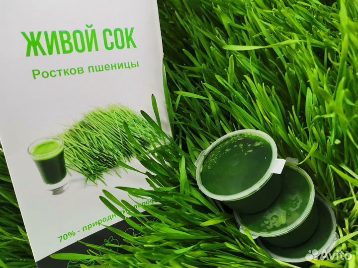 Детокс сок Витграсс