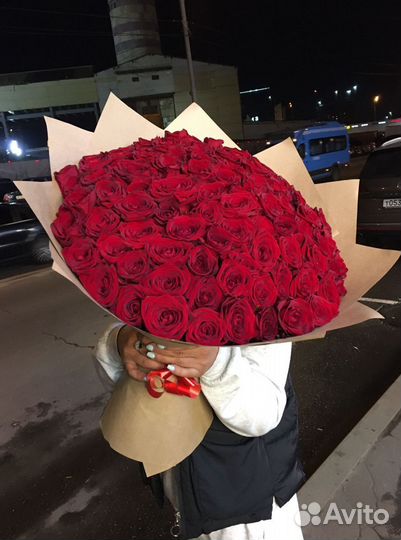 101 роза Розы Доставка цветов Цветы