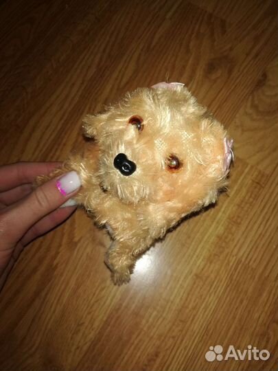 Собака пищащая, ходячая как раз для вашего дитя