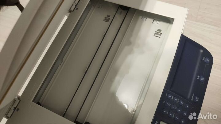 Мфу Xerox Phaser 3100 MFP/S