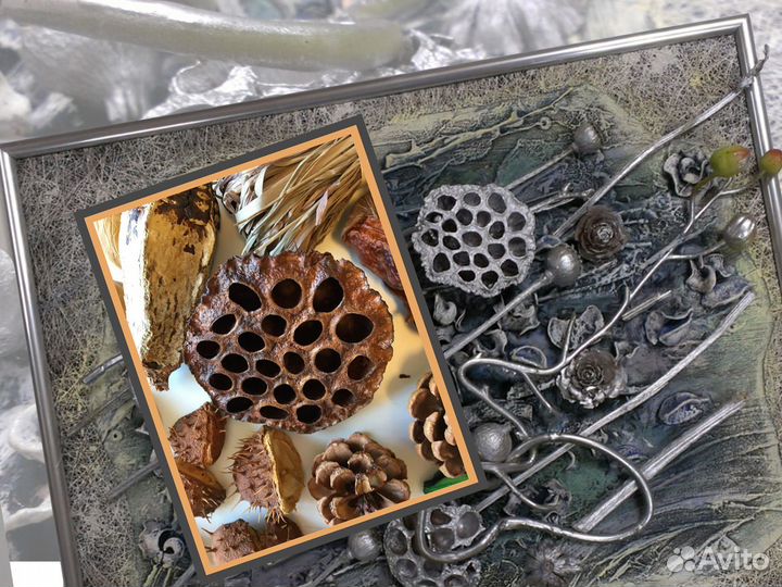 Набор природных материалов для творчества