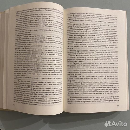 Государственный житель Андрей Платонов