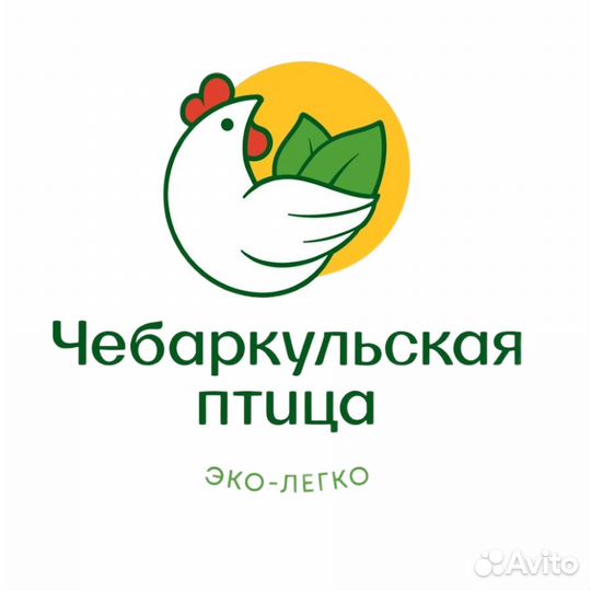 Механик по выпуску автотранспорта