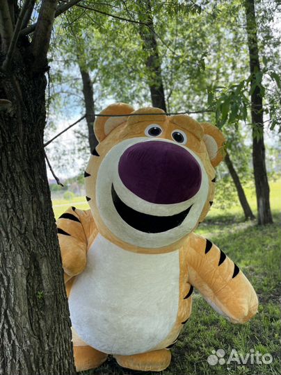 Тигр на праздник, день рождения