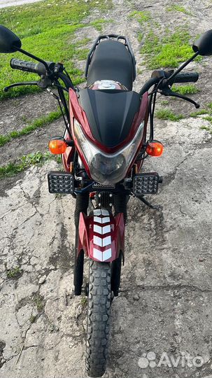 Продам мопед alpha RF 11