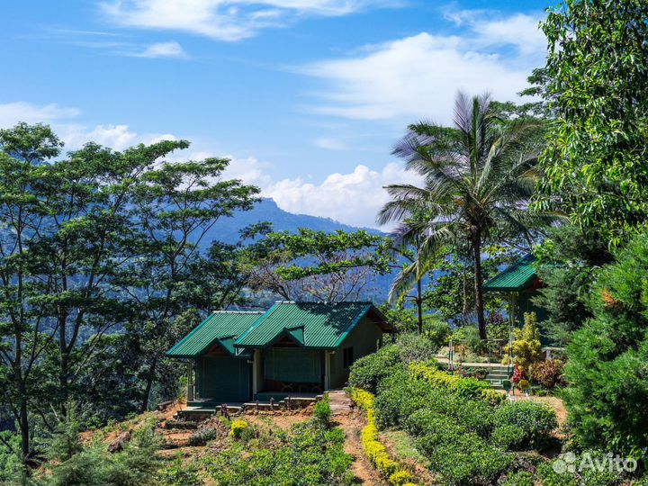 Тур на Шри-Ланку на 7 нч за двоих чел