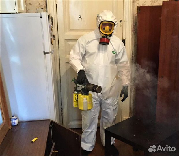 Уничтожим клопов тараканов клещей плесень запахи