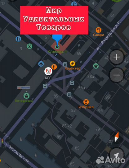 Акула Блохэй