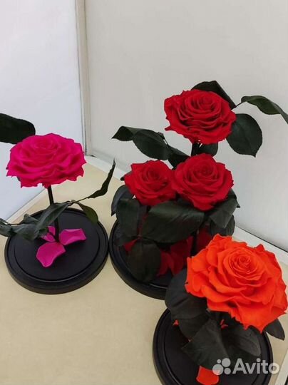 Роза в колбе оптом и в розницу