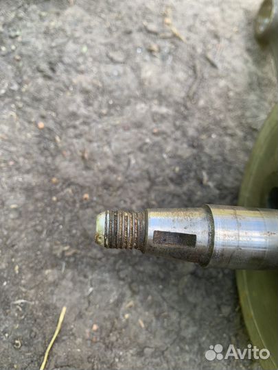 На восход Сова