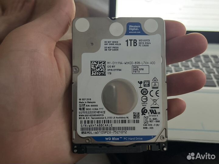 Жесткий диск 1 тб