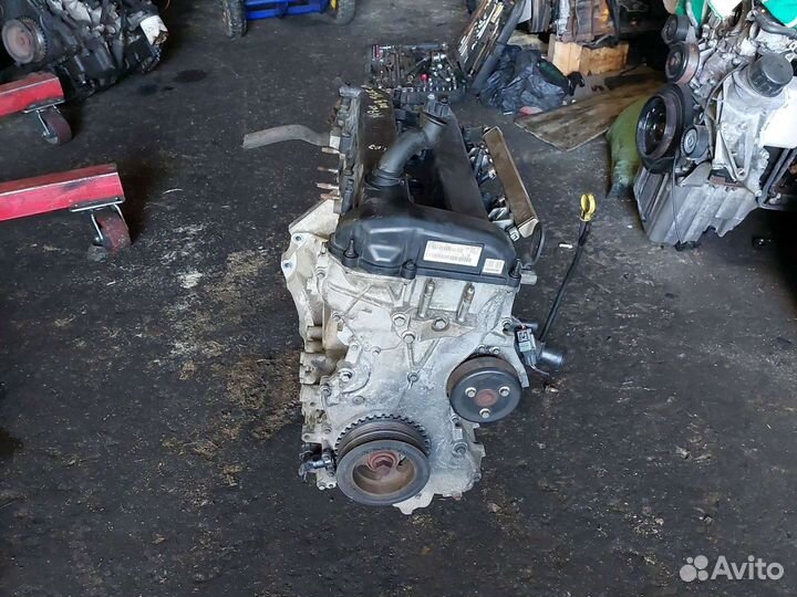 Двигатель qqdb форд фокус 2 125л.с. 1.8i 2009г.в