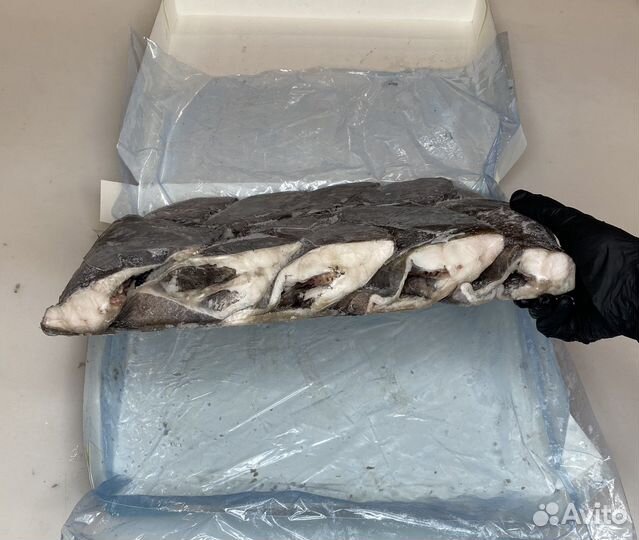 Палтус (Тушка) Синекорый/Чёрный/ Гренладский