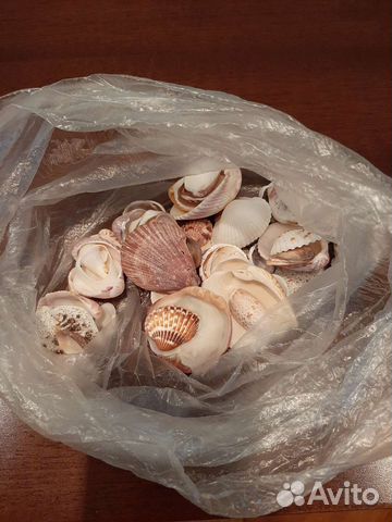 Ракушки пакетом
