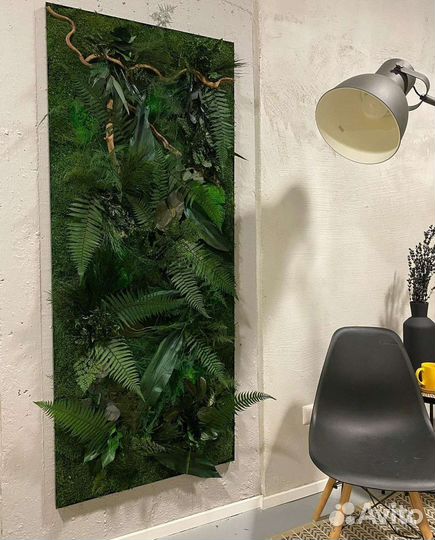 Мох стабилизированный фитокартина фитостена панно