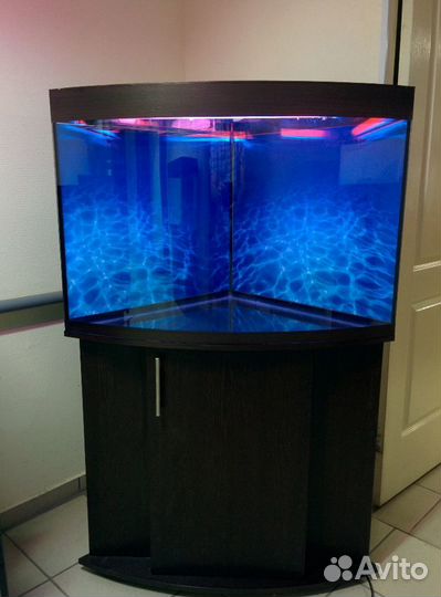 Аквариум 150, угловой полукруглый, биофильтр, свет