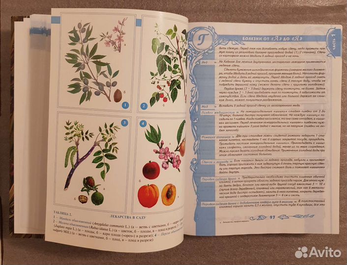 Большая энциклопедия народной медицины