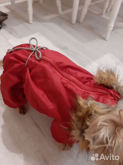 Утепленный комбинезон для маленькой собаки