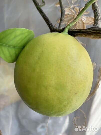 Лимон Мейера