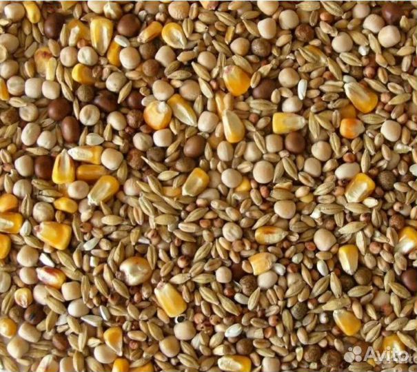 Зерносмесь