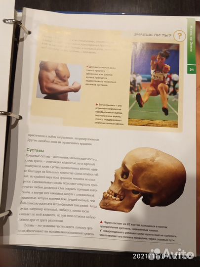 Журналы Галилео