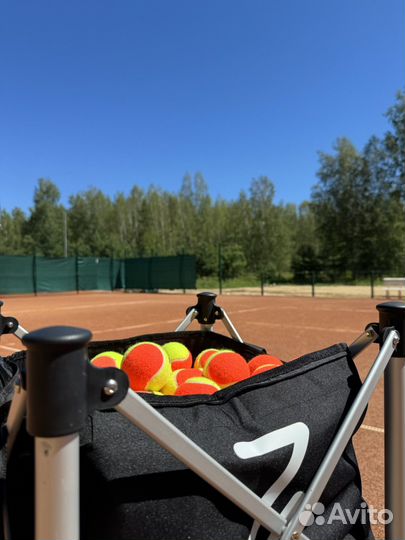 Тренер по большому теннису