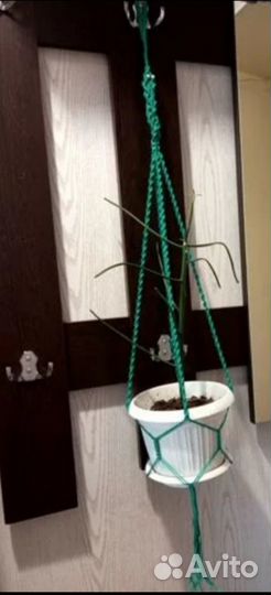 Кашпо для цветов подвесное