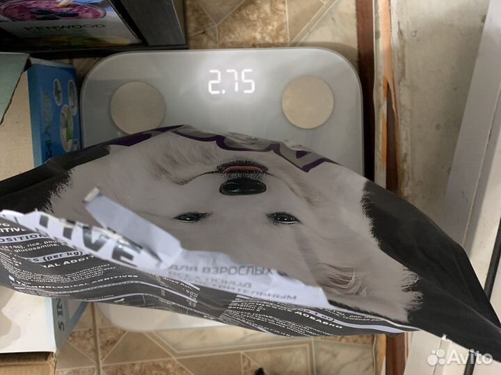 Корм для собак